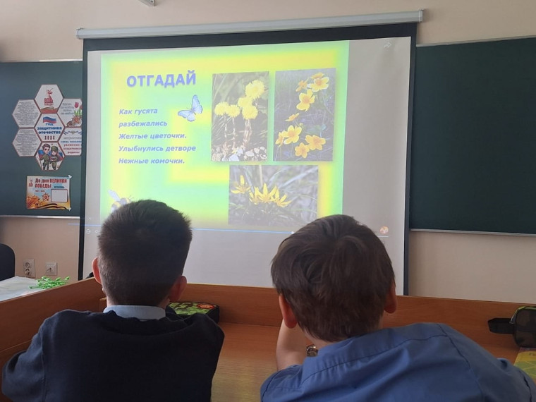 Классный час «Первоцвет».
