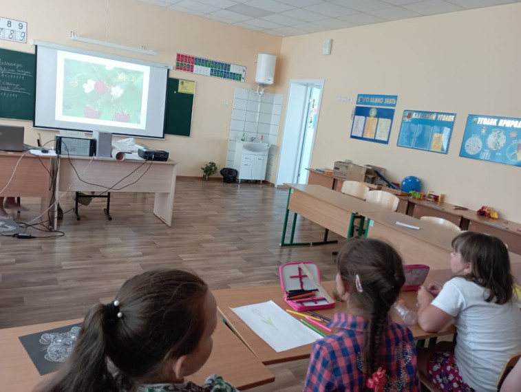 13 день летнего оздоровительного лагеря "Зеленая планета". Конкурсы, игры.