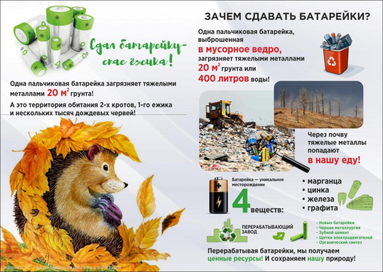 Экологическая акция «Сдай батарейку - сохрани природу!».